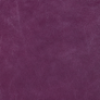 Old English Plum